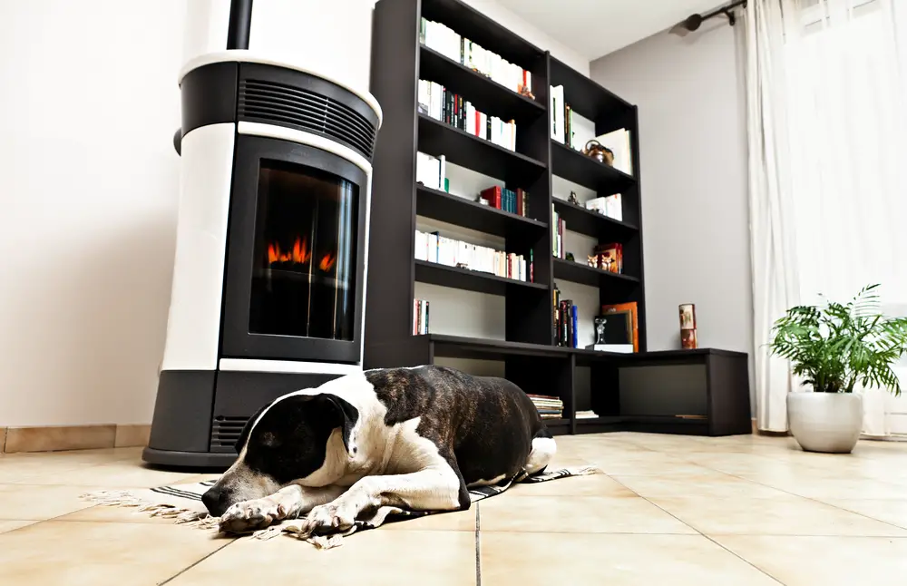 Best Pellet Stove