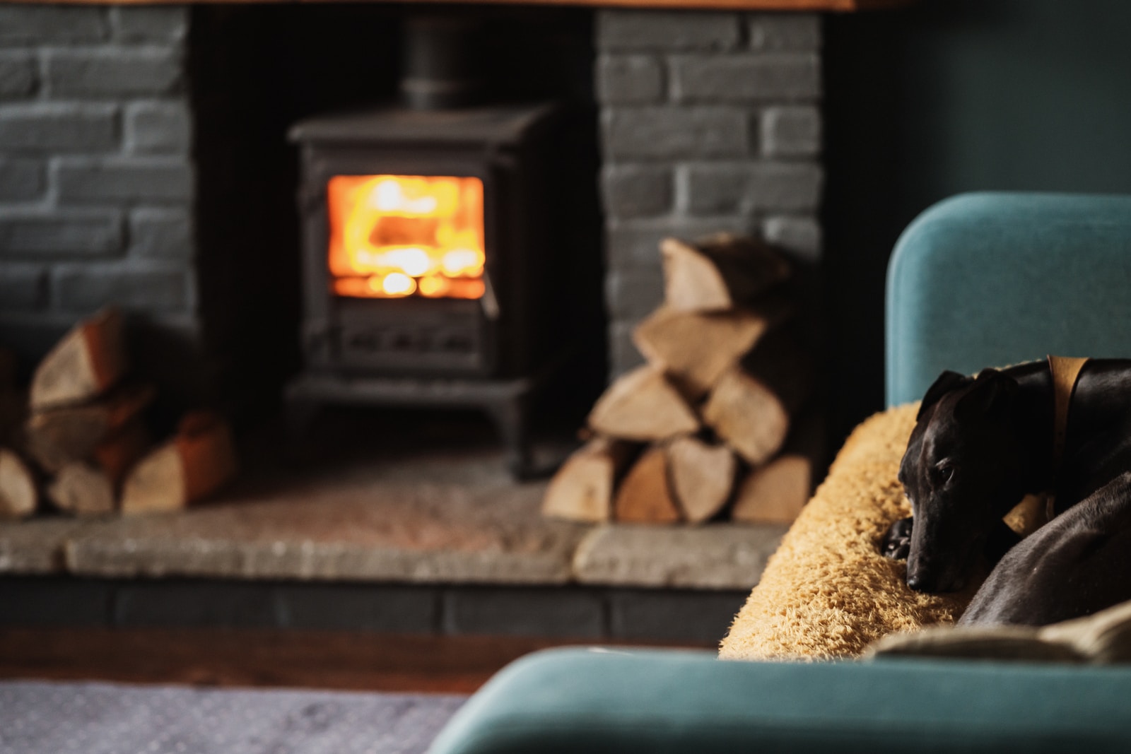 Ventless Gas Fireplaces v.s. Pellet Stoves: Compared + Pros & Cons Gas Fireplace vs. Pellet Stove: Which is the Best?