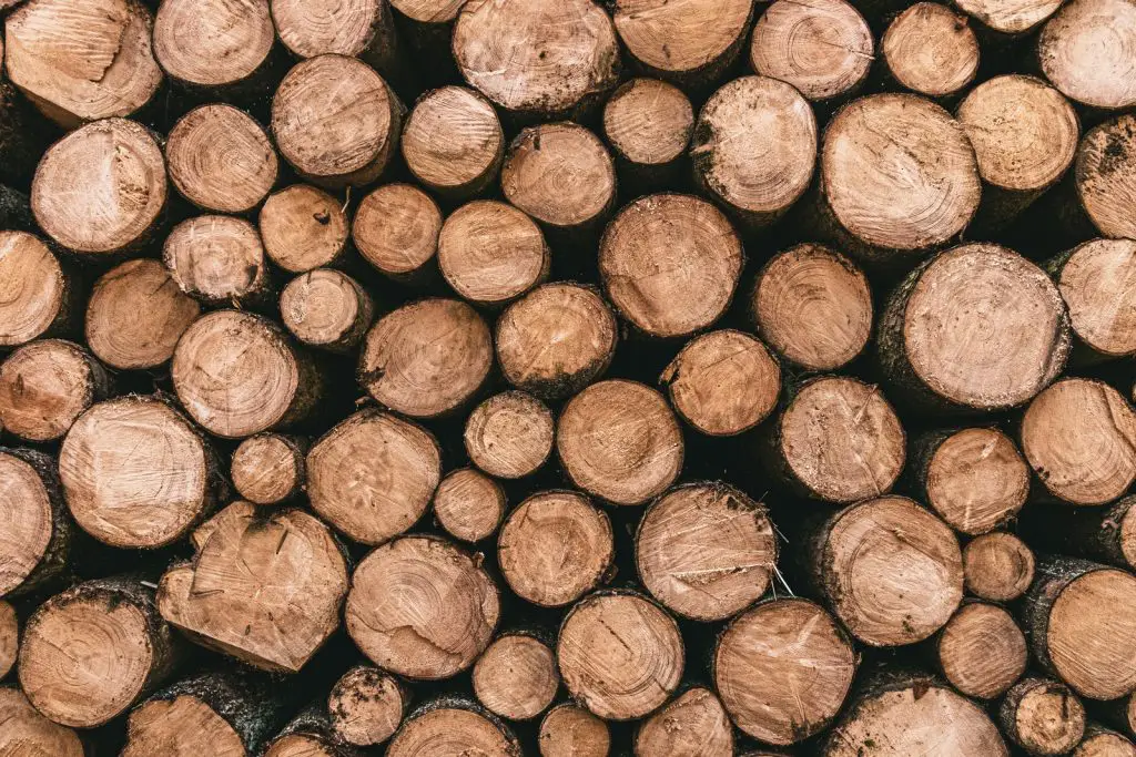 logs