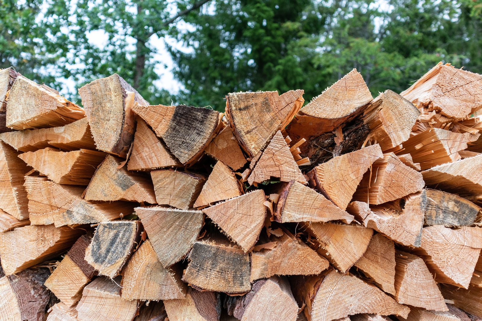 brown firewood lot