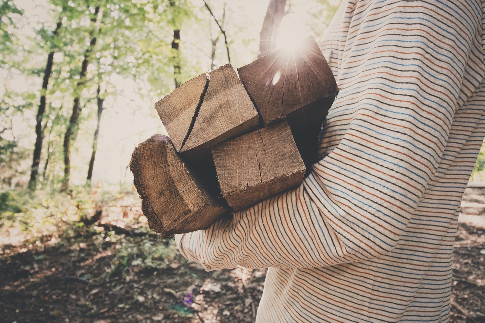 Can You Burn Coal In A Wood Burning Stove? It Depends. Can You Burn Coal In A Wood Burning Stove?