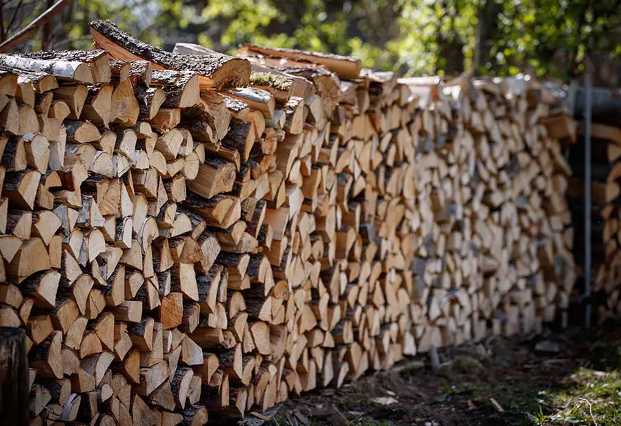 Seasoned Firewood