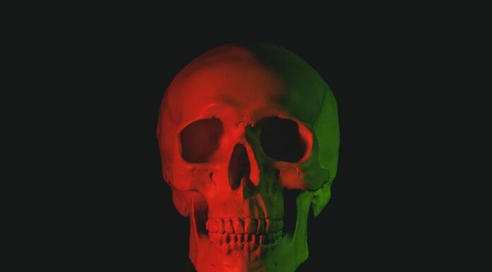 Skull Fire Logs: Pics + Everything You Need To Know skull head bust with LED light