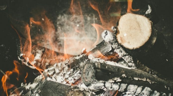 Is Ash Good for Firewood? Hmm… Is Ash Good for Firewood