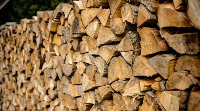 4+ DIY Wood Kiln Plans: How To Dry Your Firewood At Home Building a Kiln for Drying Firewood: An Explanation and Plans