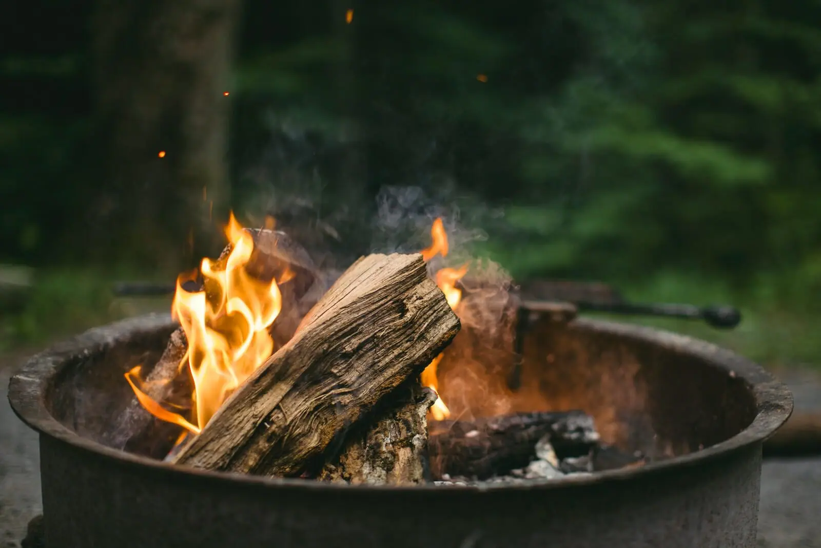 Wood Burning Information