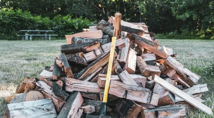 Is Silver Maple A Good Firewood? Yes, but… brown wood logs on green grass field during daytime
