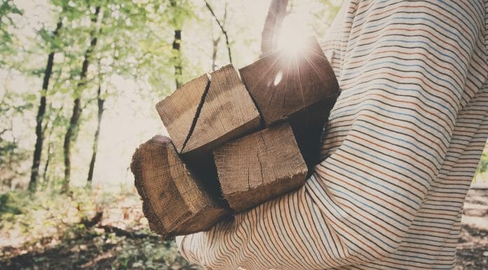 Is Magnolia Good For Firewood? Don’t do it! person holding wooden planks