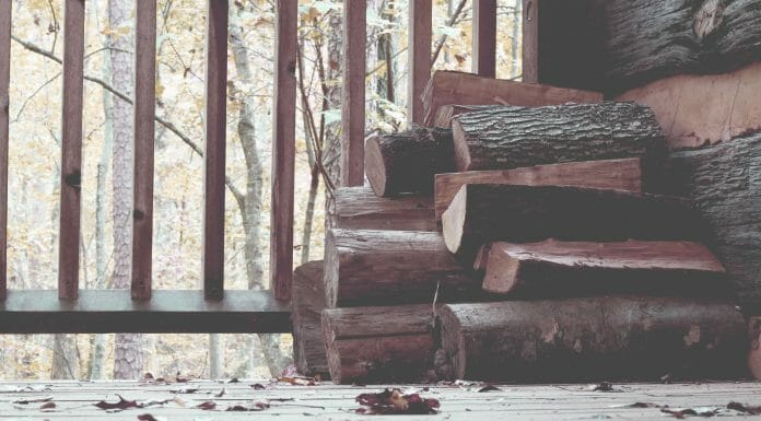 Is Cottonwood Good Firewood? Nah…not really stacked firewood