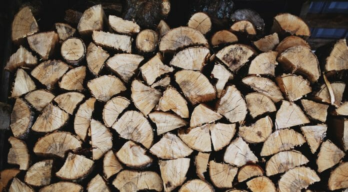 Is Hickory Good Firewood? Oh, yeah! pile of brown logs