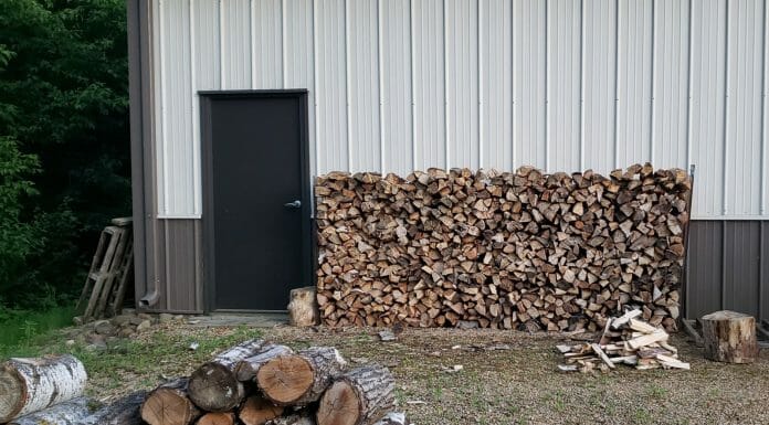 Is Madrone Good Firewood? Oh, yeah! brown wood logs on green grass field near black wooden door