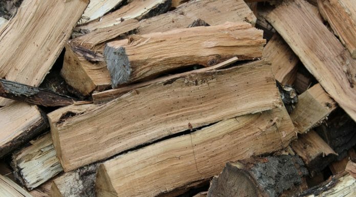 Is Eucalyptus Good for Firewood? Sort of… brown and gray wood logs