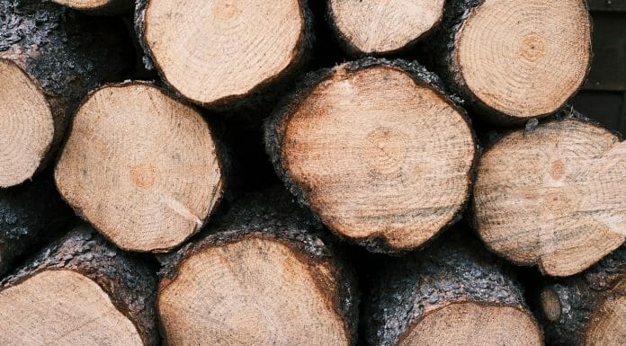 Is Black Locust Good Firewood? Yes, but… brown tree logs on black soil