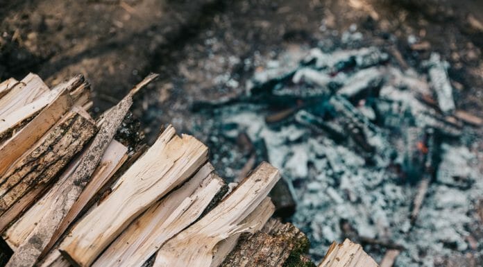 Is Beech Good For Firewood? Yes, but… brown fire wood lot