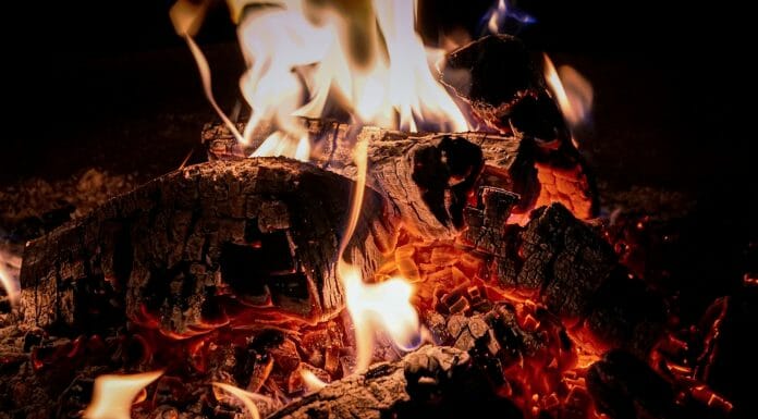 Is Alder Good Firewood? It can be… burning coal with flame