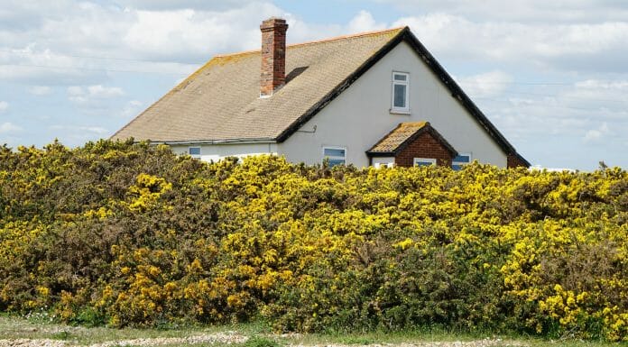 How To Remove Glazed Creosote From Your Chimney chimney on the horizon