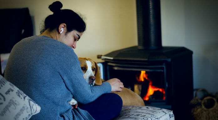 Wood Stove Cast Iron vs. Steel wood stove