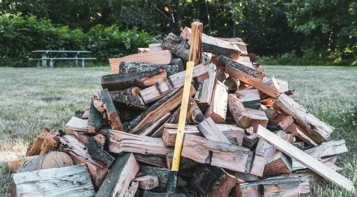 What’s The Best Type Of Firewood For Fireplaces & Stoves best firewood
